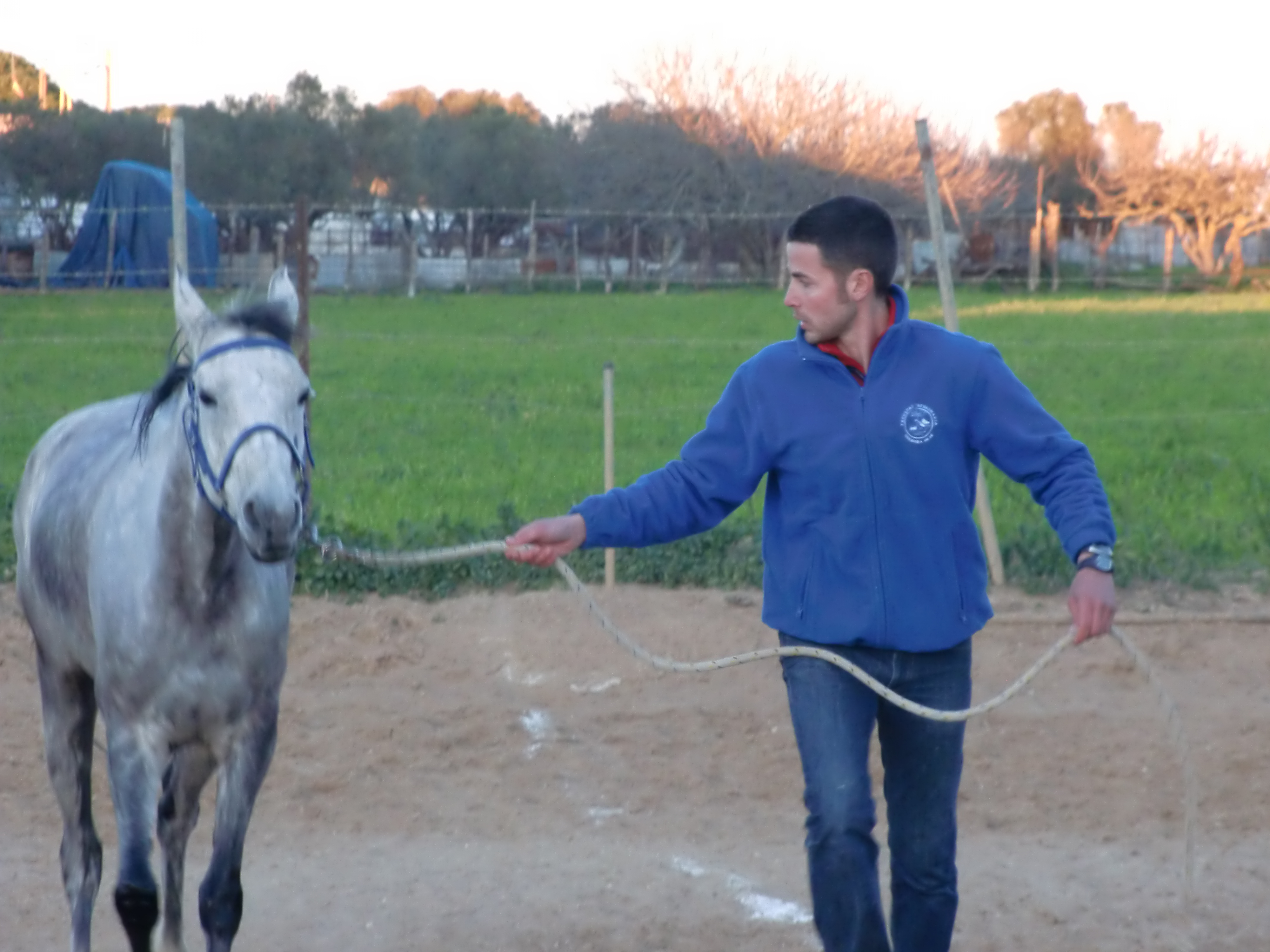 Hay que Entrenar los Trotes. Otro de mis artículos.