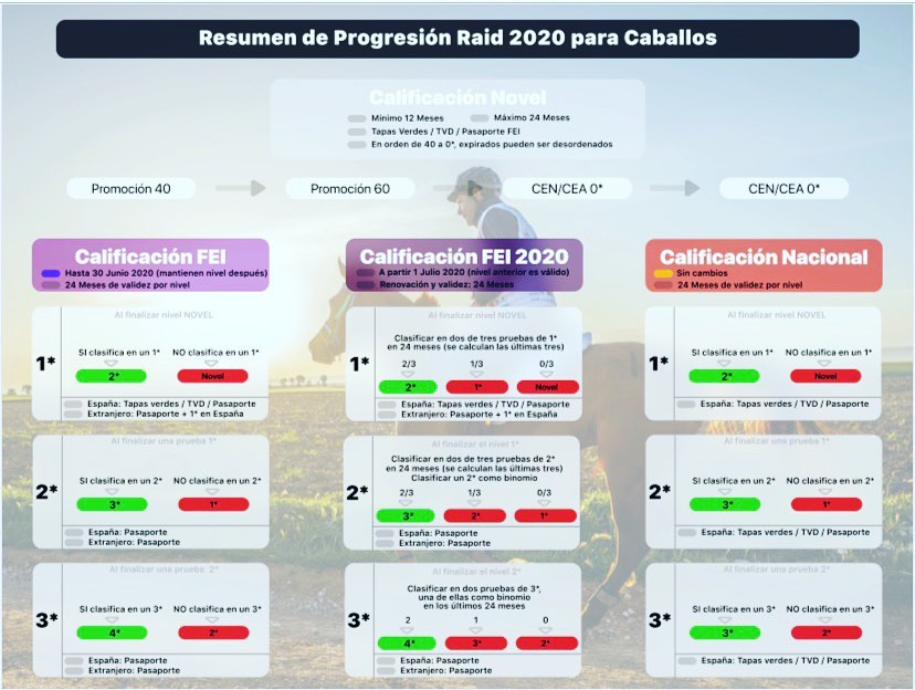 Resumen Progresión Raid 2020