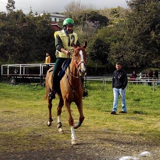 Luciano Felipe, ganador del CEN* y Con la Mejor Condición de su caballo. (foto antigua de su archivo).