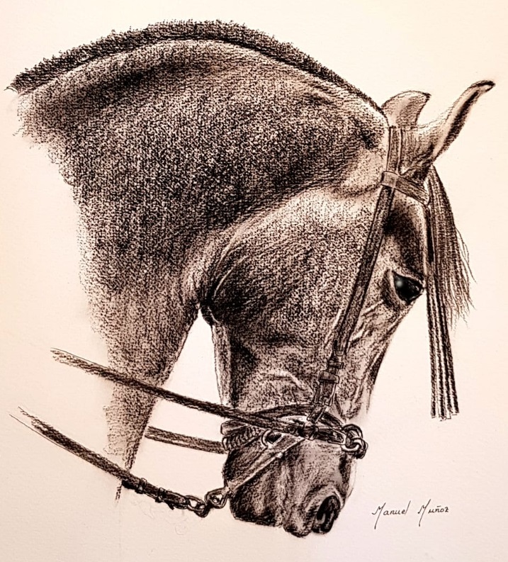 Cabeza de caballo pintada por Manuel Muñóz.