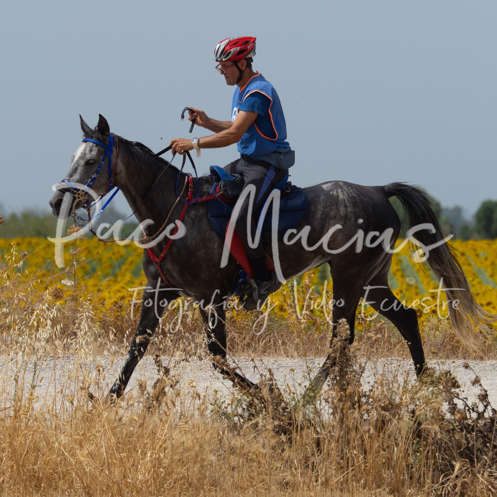 Fran Guti, ganador del CETO* y su caballo con la Mejor Condición. (foto de Paco Macias).