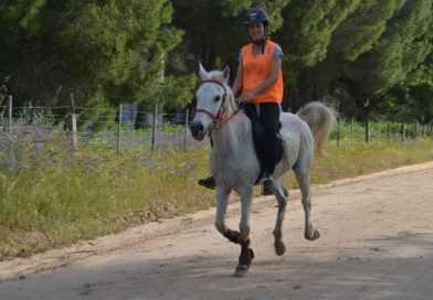 Fotos del Raid Hípico Federación Hípica Extremeña y Escuela Equitación El Corzo. (Badajoz).