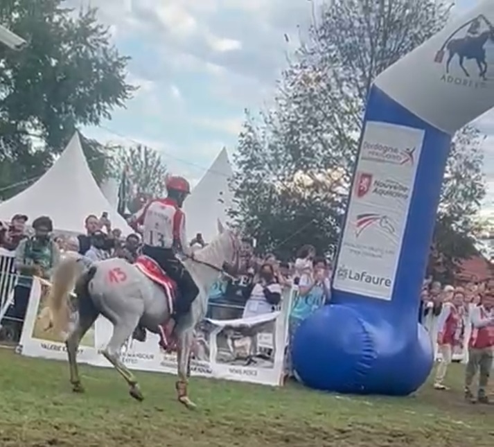 Ganador del Mundial con unos tiempos de recuperación magnificos.