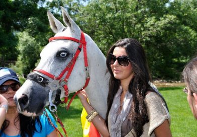 Ha Muerto un Caballo Campeón, Al-Garbe.