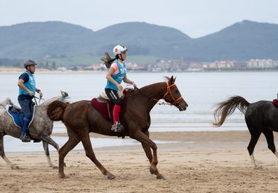 Caballos Clasificados para la 𝐅𝐢𝐧𝐚𝐥 𝐝𝐞 𝐥𝐚𝐬 𝐏𝐫𝐮𝐞𝐛𝐚𝐬 𝐝𝐞 𝐒𝐞𝐥𝐞𝐜𝐜𝐢𝐨́𝐧 𝐝𝐞 𝐂𝐚𝐛𝐚𝐥𝐥𝐨𝐬 𝐉𝐨́𝐯𝐞𝐧𝐞𝐬 𝐀𝐄𝐂𝐂𝐀-𝐌𝐀𝐏𝐀.