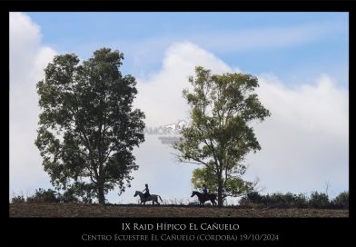 Fotos de Ramón Azañón del IX Raid Hípico El Cañuelo (Córdoba).