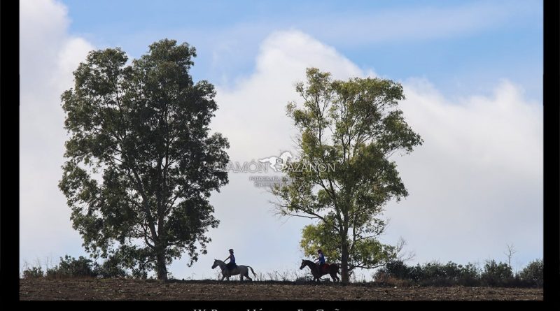 Fotos de Ramón Azañón del IX Raid Hípico El Cañuelo (Córdoba).