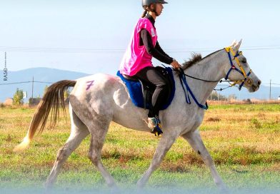 Resultados del Raid Hípico Club El Corzo / FHEX (Badajoz).