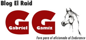 EL RAID