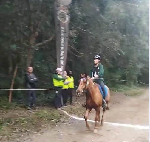  Marc  VILA SABATA con FARIA II D ASCAT ganador del CEIYJ** (foto de EOL).