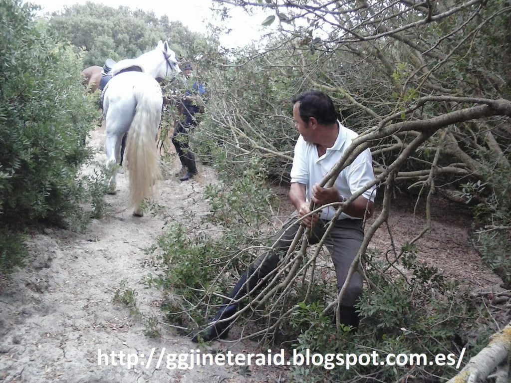 Nuestro amigo Benito, apartando un gran lentisco para poder pasar.