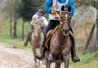 Información del Raid Hípico Internacional de Tordera (Barcelona).