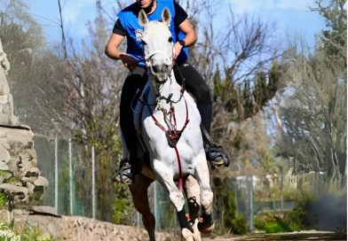 Resultados del XXXIII Raid Hípico la Corona en Icod el Alto/ los Realejos (Santa Cruz de Tenerife).