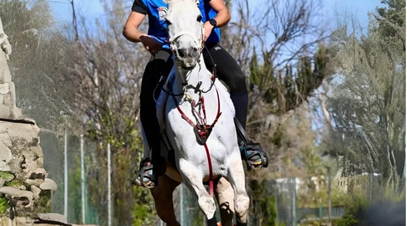 Resultados del XXXIII Raid Hípico la Corona en Icod el Alto/ los Realejos (Santa Cruz de Tenerife).