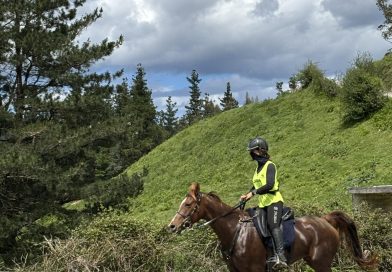 Crónica del Raid Hípico de Karrantza 2025 en  Karrantza Harana, (Bizkaia).
