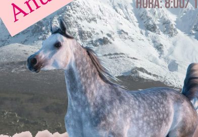 Primer Raid Hípico Montaña Palentina en Cervera de Pisuerga, (Palencia).