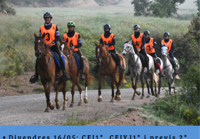 Resultados del Raid Hípico Internacional Olost-Llucanes en Olost (Barcelona). (17-5-2025).