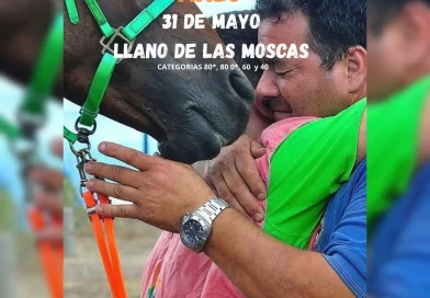Resultados del II Raid Hípico los Altos Villa de Mazo en  Llano de las Moscas (La Palma).