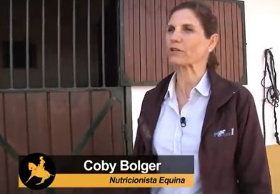 El Caballo Reactivo por Coby Bolger en directo.