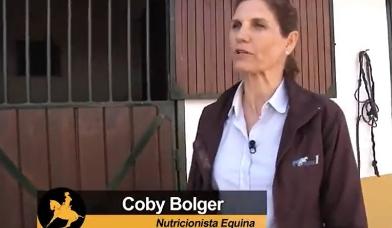 El Caballo Reactivo por Coby Bolger en directo.