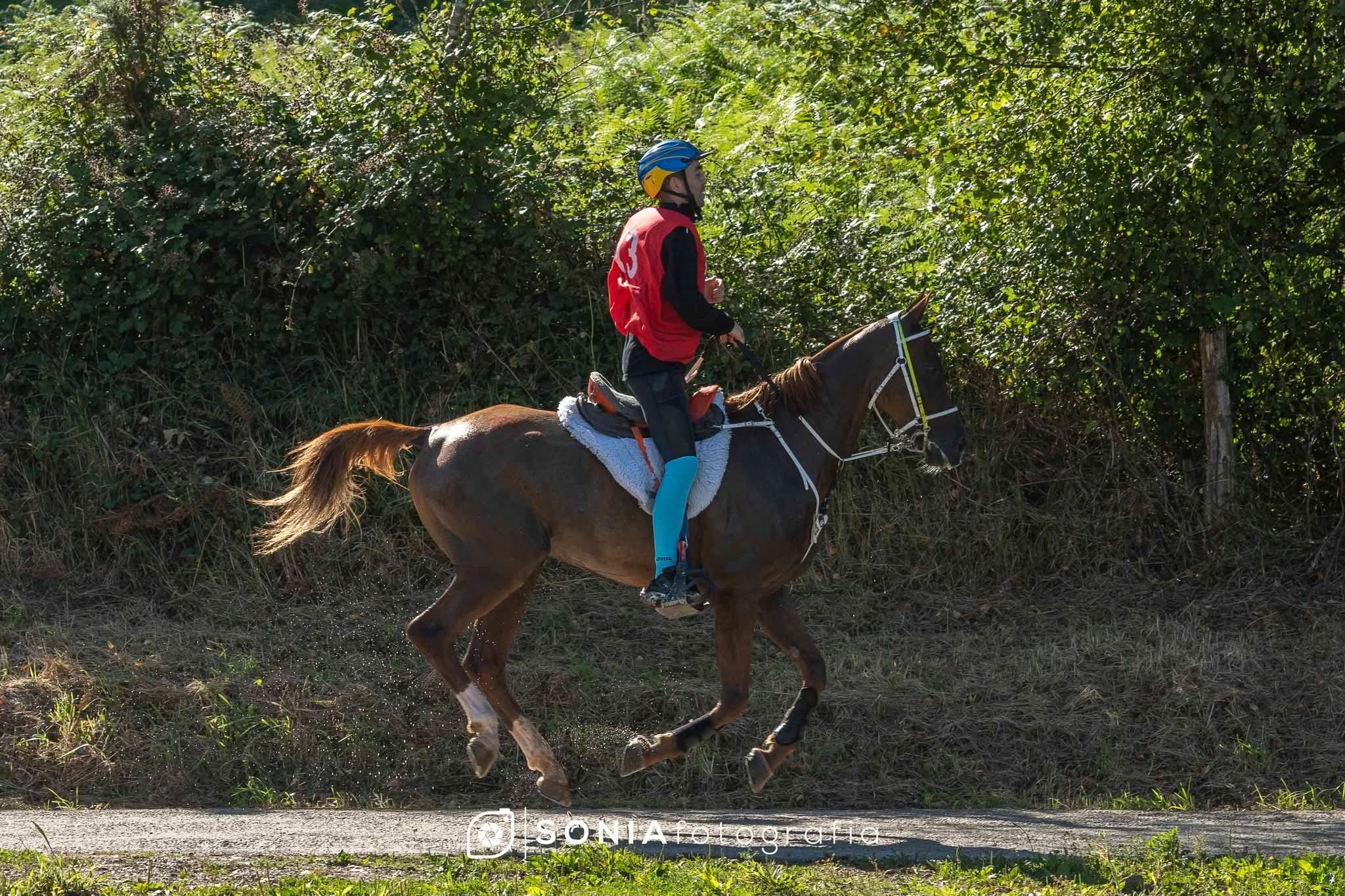 Caballo con Mejor Condición "ESSO ZONICPEK JES" montado por Ivan Bragado Fernández.