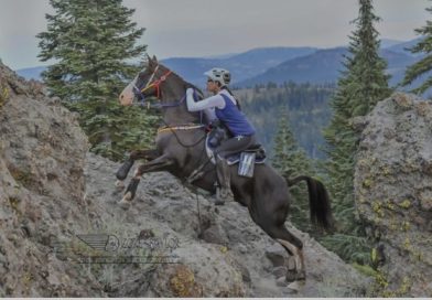 Crónica de la Tevis Cup por Leire Ahedo.