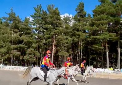 Crónica del Campeonato del Mundo de Caballos Jóvenes de Raid de 7 años.