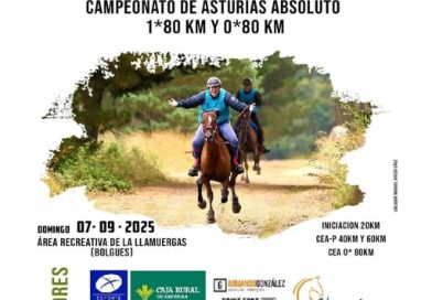 Resultados del V Raid Hípico Las Regueras (Asturias), Campeonato de Asturias Absoluto de CEA* y CEAO*.