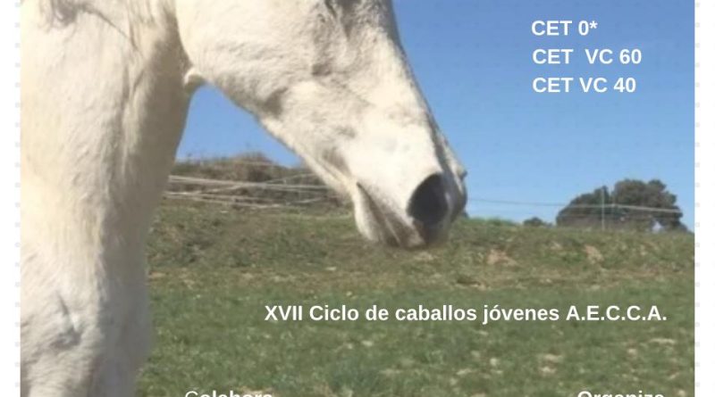 Inscritos en el IX Raid Hípico de Sant Bartomeu del Grau. (Barcelona).