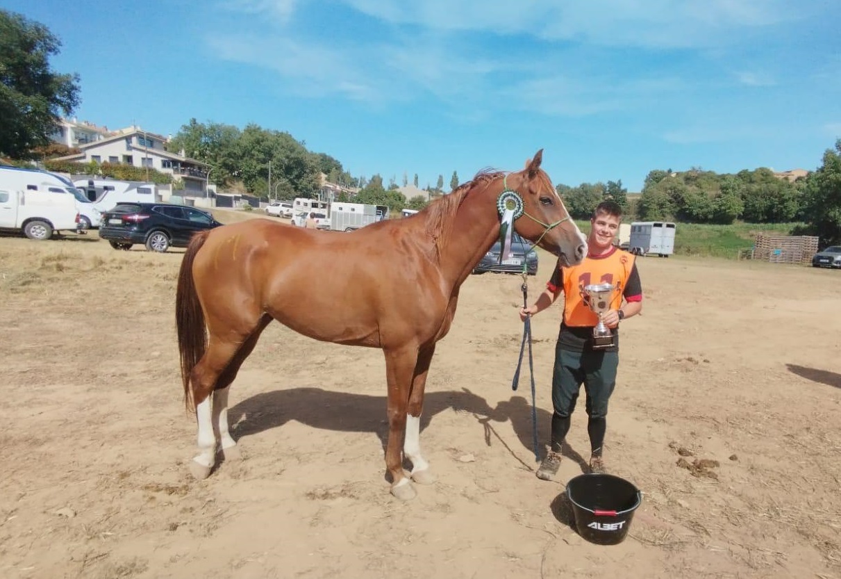 Caballo con Mejor Condición de AECCA "JM Mufasa" montado por Joan Miranda Rierola.