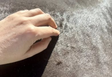 Cambio de Pelaje en el Caballo. ¿Realmente Sabes Todo los que Deberías?.