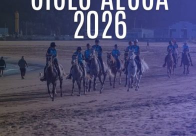 Información sobre el 𝐂𝐢𝐜𝐥𝐨 𝐀𝐄𝐂𝐂𝐀 𝟐𝟎𝟐𝟔, para los Comité Organizadores. 