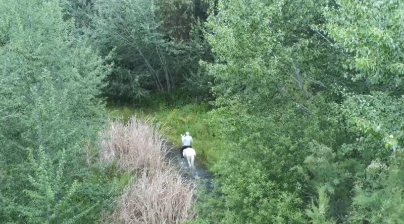 El Río que me Presta su Memoria.