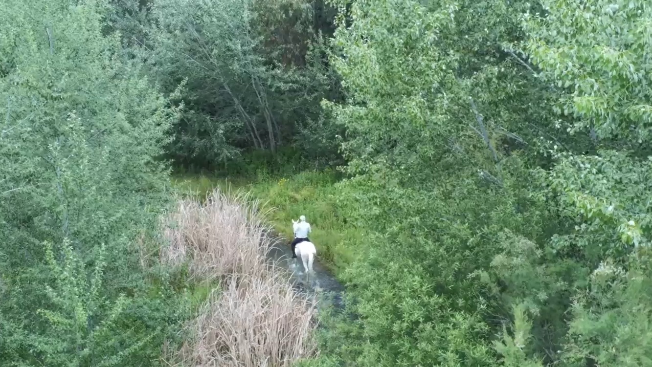 Cruce del Guadiamar, entre ramas y silencios.