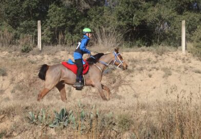 Crónica del Campeonato de España Junior 1* por aecca.