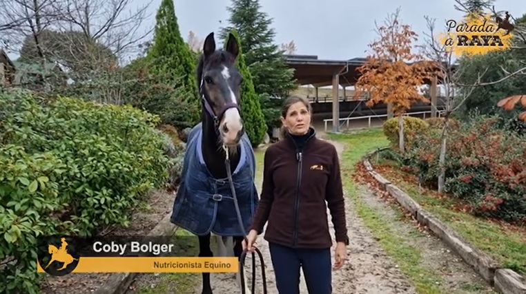 Nutrición del Caballo en Navidad.