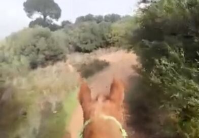 Feliz Entrada de Año 2026 para los Lectores y Amigos.