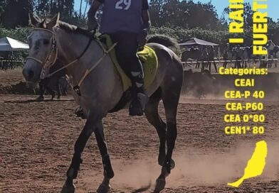 Resultados del I Raid Hípico Isla de Fuerteventura. (Las Palmas).