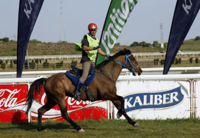 Ha Muerto «Sopenilla» una Yegua de Raid.