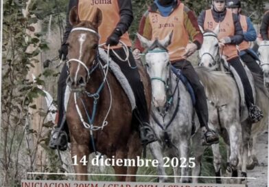 Resultados del II Raid Hípico  Ormaiztegui, (Gipuzkoa).