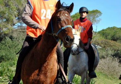 XXXIV Raid Hípico Las Cañadas en Puerto Real (Cádiz) y XXIV Memorial Salvador Gómez «Parrita».