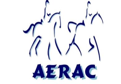 XXVI Raid de Benijos Copa Villa de La Orotava, (Tenerife).