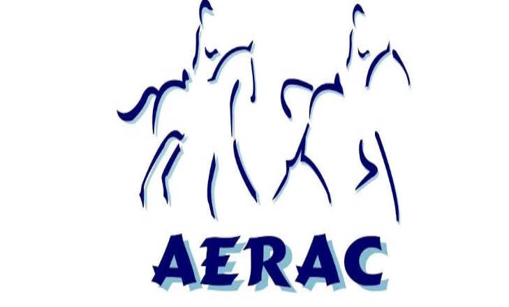 XXVI Raid de Benijos Copa Villa de La Orotava, (Tenerife).