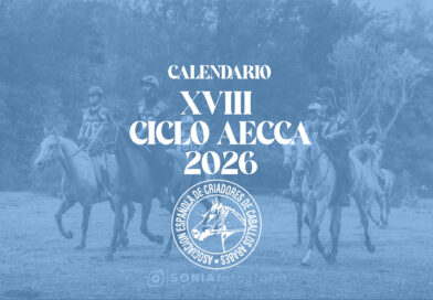 Ciclo AECCA de Caballos Jóvenes para Raid 2026