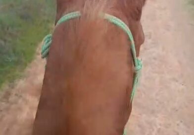 Gracias por Vuestras Felicitaciones en mis 80 Cumpleaños.