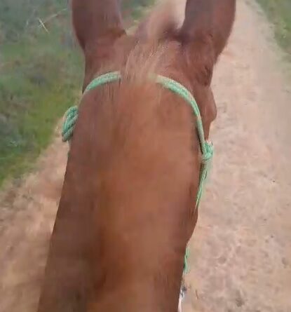 Gracias por Vuestras Felicitaciones en mis 80 Cumpleaños.