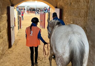 Fotos del XV Raid Hípico Virgen de los Dolores en Osuna (Sevilla).