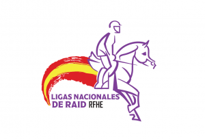 Clasificaciones de las Ligas de Raid 2025.