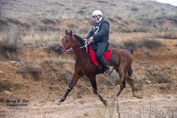 Mario Vera Cantalejo con "Tabor YM." (foto de Selena G. Soto).