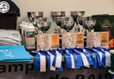 Crónica de AECCA sobre las  Pruebas de Selección de Caballos Jóvenes de Raid.